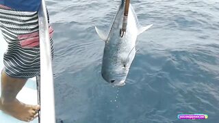 Морская рыбалка на Racha islands у Phuket - джиггинг по банкам, что встанет на крючок