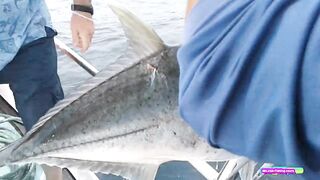 Морская рыбалка на Racha islands у Phuket - джиггинг по банкам, что встанет на крючок