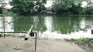 Озерная рыбалка - что за место и на что лучше ставить?