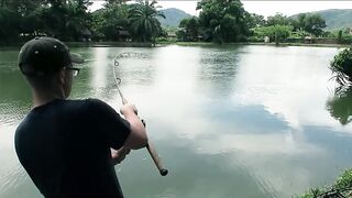 Озерная рыбалка - что за место и на что лучше ставить?