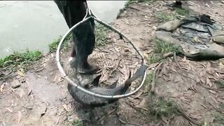 Озерная рыбалка - что за место и на что лучше ставить?