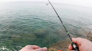 морская рыбалка на Phuket, что клюет на микроджиг с берега в Тайланде?