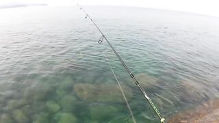 морская рыбалка на Phuket, что клюет на микроджиг с берега в Тайланде?