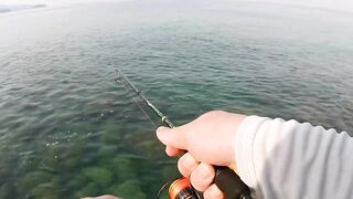 морская рыбалка на Phuket, что клюет на микроджиг с берега в Тайланде?