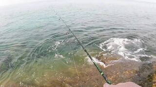 морская рыбалка на Phuket, что клюет на микроджиг с берега в Тайланде?