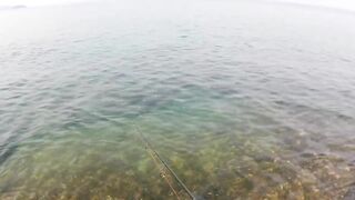 морская рыбалка на Phuket, что клюет на микроджиг с берега в Тайланде?