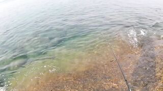 морская рыбалка на Phuket, что клюет на микроджиг с берега в Тайланде?