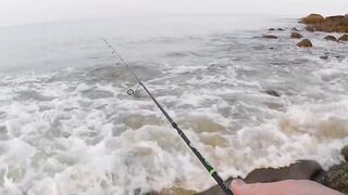 морская рыбалка на Phuket, что клюет на микроджиг с берега в Тайланде?