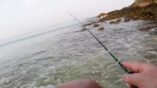 морская рыбалка на Phuket, что клюет на микроджиг с берега в Тайланде?