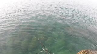 морская рыбалка на Phuket, что клюет на микроджиг с берега в Тайланде?