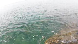 морская рыбалка на Phuket, что клюет на микроджиг с берега в Тайланде?