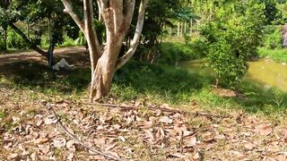 Пхукет джунгли и берег - сложная рыбалка, варан и дикая тропа 4К