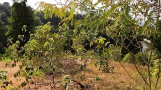 Пхукет джунгли и берег - сложная рыбалка, варан и дикая тропа 4К