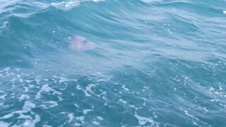 Пхукет Phuket какой улов на приватной рыбалке и стоит ли брать экскурсию?