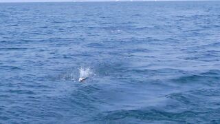 Пхукет Phuket какой улов на приватной рыбалке и стоит ли брать экскурсию?