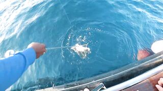 Similan - морская рыбалка на Симиланах 2 дня приват в Phuket сезон 2024