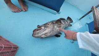 Similan - морская рыбалка на Симиланах 2 дня приват в Phuket сезон 2024