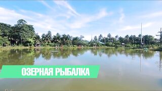 Phuket 2018 - озерная рыбалка, как было на Phuket Lake