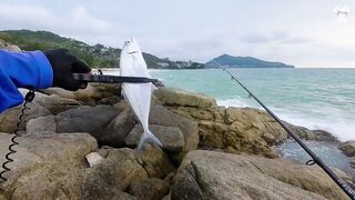 Вечерняя ловля на спиннинг на пляже Surin, Phuket - прибрежная рыба под закат