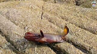 ชายฝั่ง ภูเก็ต вечером - рыбалка на Phuket / Пхукет с берега под закат