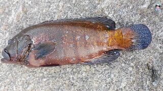 ชายฝั่ง ภูเก็ต вечером - рыбалка на Phuket / Пхукет с берега под закат