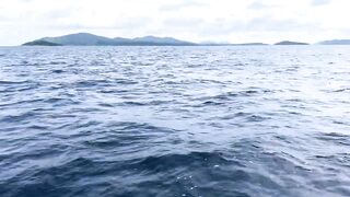 ตกปลาทะเลภูเก็ต - морская рыбалка на Phuket / Пхукет глазами «โลกของแม็ก»