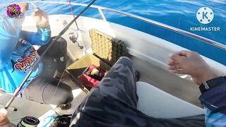 Giant Trevally на เกาะราชาภูเก็ต - получится ли GT с берега или только лодка?