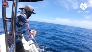 Giant Trevally на เกาะราชาภูเก็ต - получится ли GT с берега или только лодка?