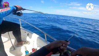 Giant Trevally на เกาะราชาภูเก็ต - получится ли GT с берега или только лодка?