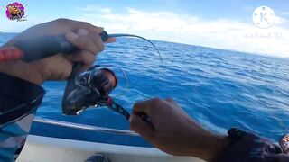 Giant Trevally на เกาะราชาภูเก็ต - получится ли GT с берега или только лодка?