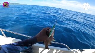 Giant Trevally на เกาะราชาภูเก็ต - получится ли GT с берега или только лодка?