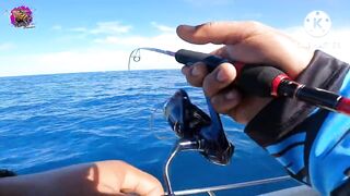 Giant Trevally на เกาะราชาภูเก็ต - получится ли GT с берега или только лодка?