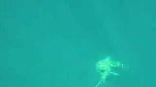 Морская рыбалка на Phuket: 4 дня под водой с гарпуном и длинное видео