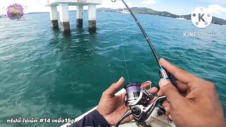 เกาะภูเก็ต любимые точки местных рыбаков с Вัฒนา куда они ездят чаще всего