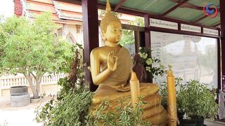 Ban Amphur: рыбацкая деревня рядом с Pattaya, стоит ли там искать рыбалку