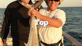 PATTAYA, THAILAND: пять топ-точек для рыбалки, куда ехать новичку