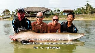 PATTAYA, THAILAND: пять топ-точек для рыбалки, куда ехать новичку