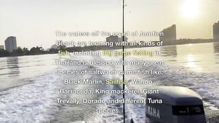 PATTAYA, THAILAND: пять топ-точек для рыбалки, куда ехать новичку