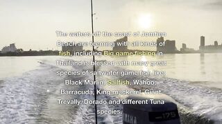 PATTAYA, THAILAND: пять топ-точек для рыбалки, куда ехать новичку