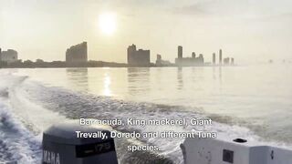 PATTAYA, THAILAND: пять топ-точек для рыбалки, куда ехать новичку