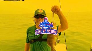 PATTAYA, THAILAND: пять топ-точек для рыбалки, куда ехать новичку