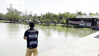 PATTAYA, THAILAND: пять топ-точек для рыбалки, куда ехать новичку