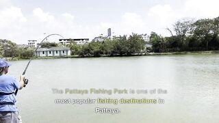 PATTAYA, THAILAND: пять топ-точек для рыбалки, куда ехать новичку