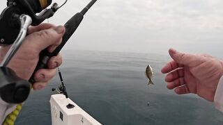 морская рыбалка в/на Pattaya Thailand, что ловят у берега сегодня?