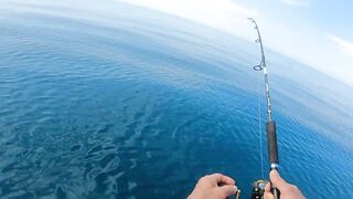 морская рыбалка в/на Pattaya Thailand, что ловят у берега сегодня?