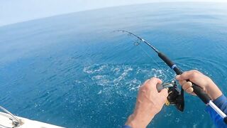 морская рыбалка в/на Pattaya Thailand, что ловят у берега сегодня?