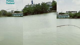 Pattaya fishing park - платник или реально интересная тема?
