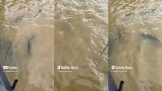 Pattaya fishing day - день на воде в Pattaya. Морская рыбалка и что взяли?