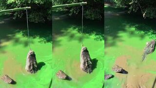 Рыбалка в Thailand - куда ехать новичку чтобы не остаться с нулем