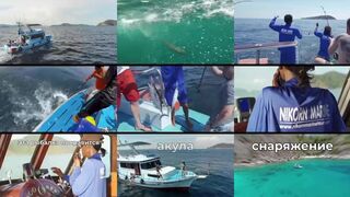 Экстремальная рыбалка в Паттайе - где там реально ловят без толпы